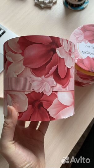 Шляпная коробка