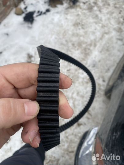 Ремень грм ford focus 2 1.4