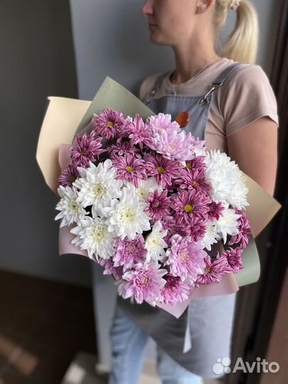 Растения, букет хризантемы, хризантема кустовая