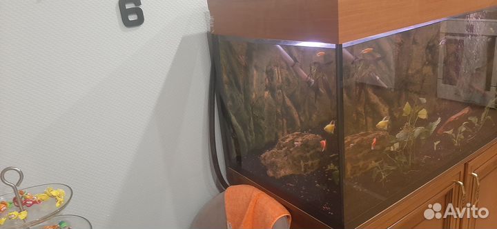 Аквариум 450оитров