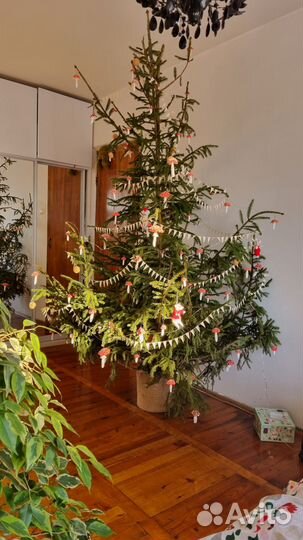 Набор ёлочных игрушек30шт.