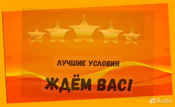 Сборщик Еженедельный аванс Без опыта Спец Одежда Дружный коллектив