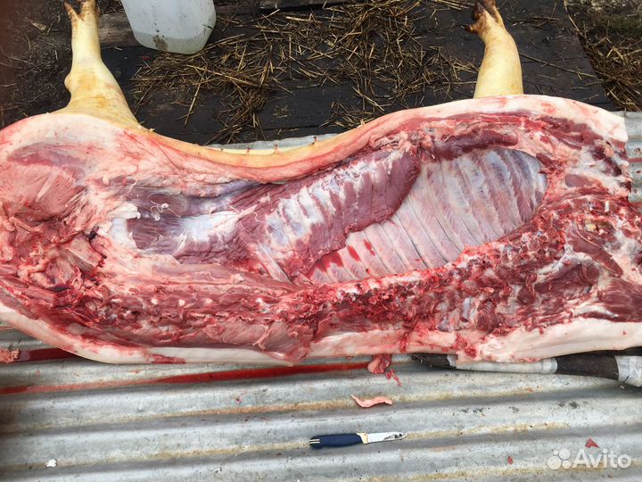 Мясо свинины домашнее