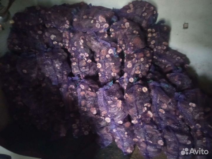Дрова виноградной лозы