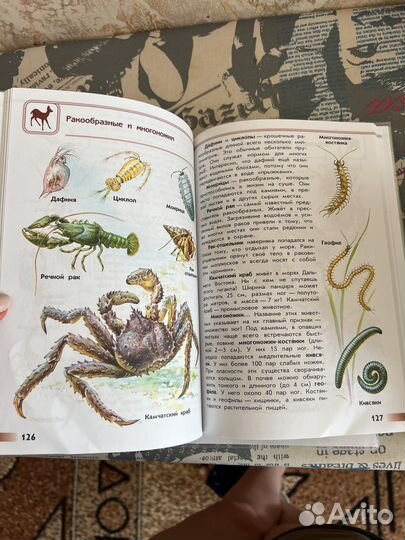 Книги для школьников