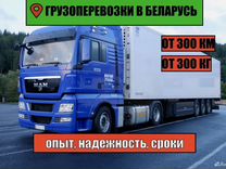 Грузоперевозки Беларусь от 300 км, 300 кг