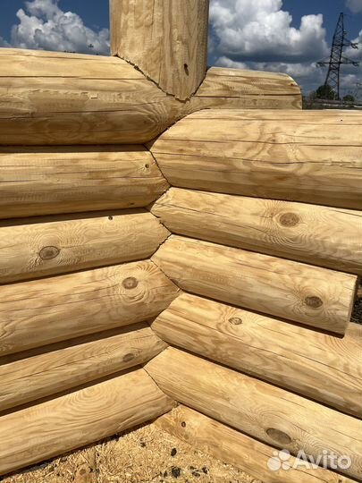 Сруб бани Сруб дома из зимнего леса