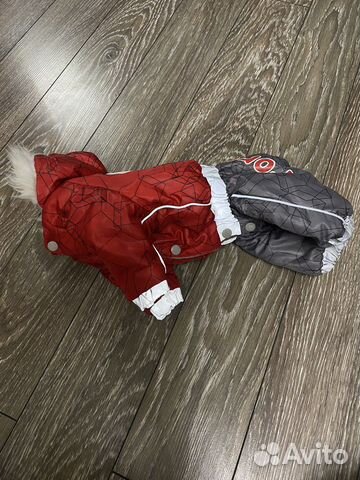 На мини собачку