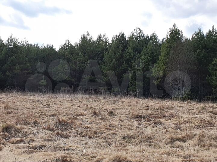 Участок 12 сот. (ИЖС)