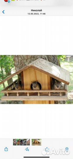 Бельчатник