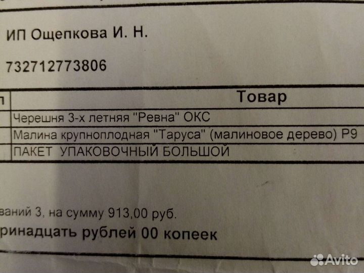 Малина саженцы. Малиновое дерево Таруса