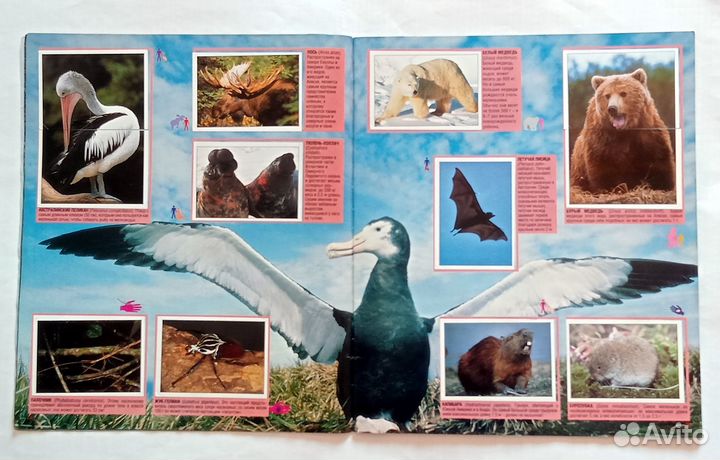 Альбомы. Панини Panini. Животные. Наклейки Стикеры