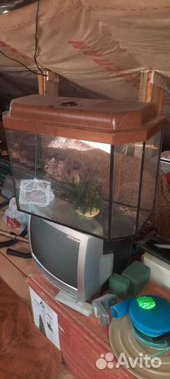 Аквариум и комплектующие
