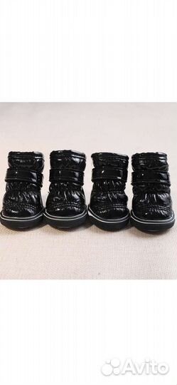 Ботиночки для собаки