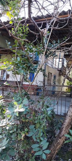 Участок 15 сот. (ИЖС)