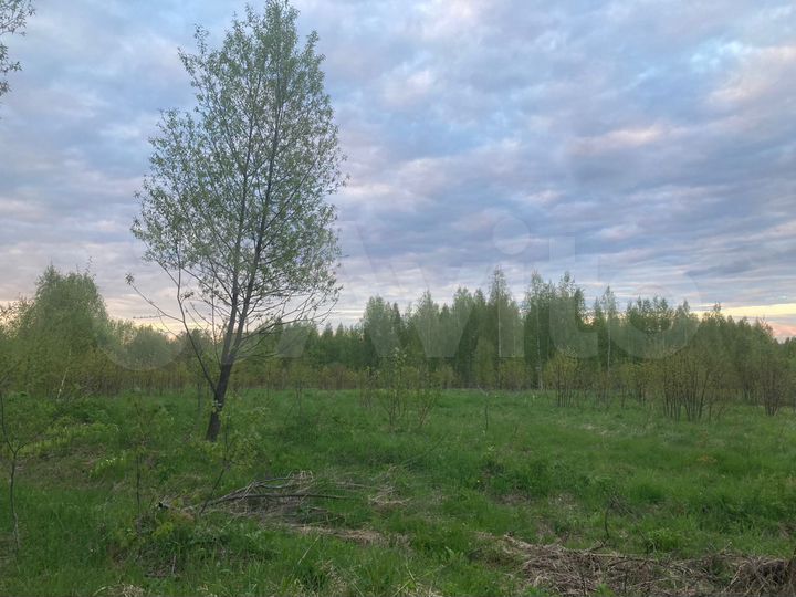 Участок 100 сот. (ИЖС)
