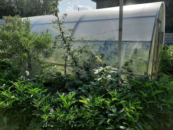 Дом 70,7 м² на участке 6,9 сот.