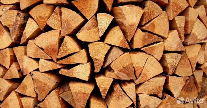Дрова без жучков
