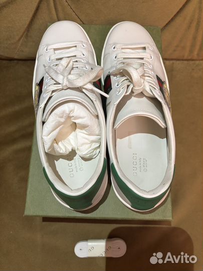 Кеды Gucci, 39,5