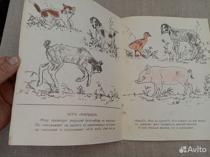 А.Н. Леонтьева. Загадай загадку, найди отгадку. Ал