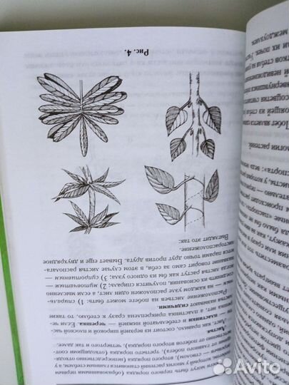 Энциклопедия о домашних цветах и растениях
