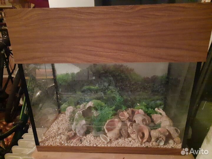 Аквариум