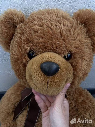 Плюшевый медведь Aurora