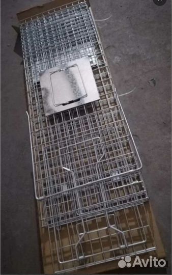 Кошколовка/котоловка в аренду