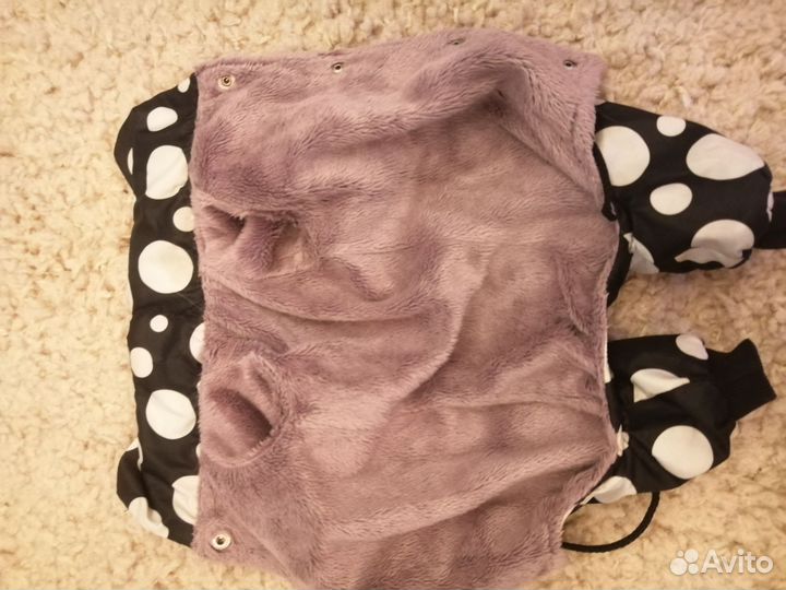 Комбинезон для собаки