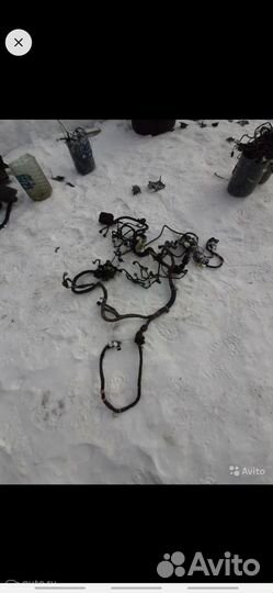 Коса (проводка) двигателя Тойота Приус, NHW11, 200