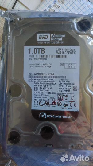 Жёсткий диск Western Digital black 1 Tb