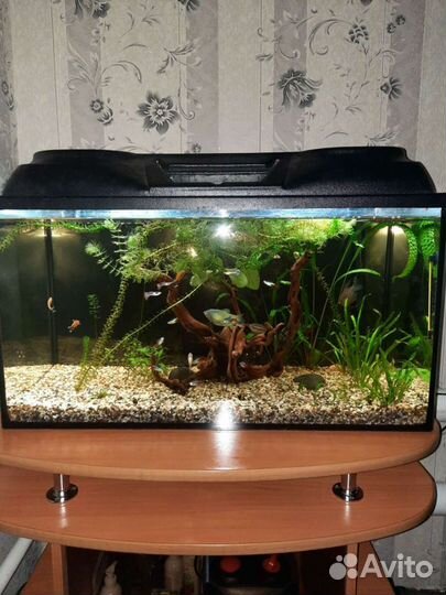 Аквариум