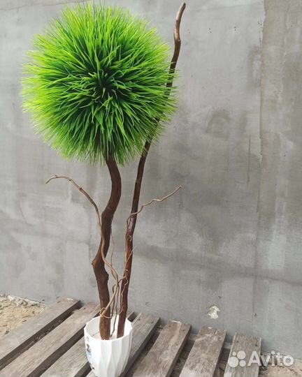 Искусственные деревья. Самшит