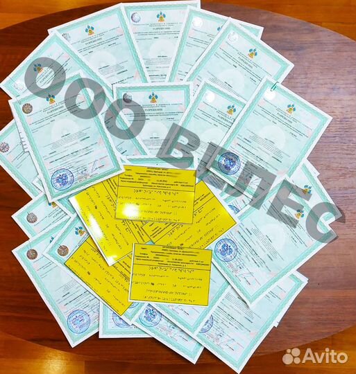 Лицензия на такси без ип и ооо любой цвет