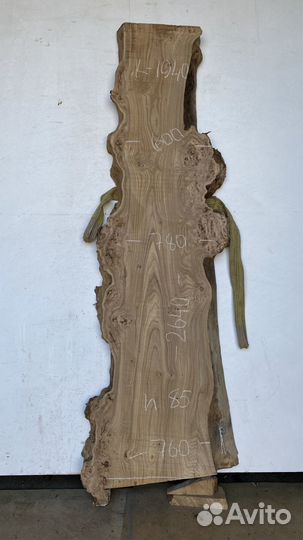 Слэбы карагач