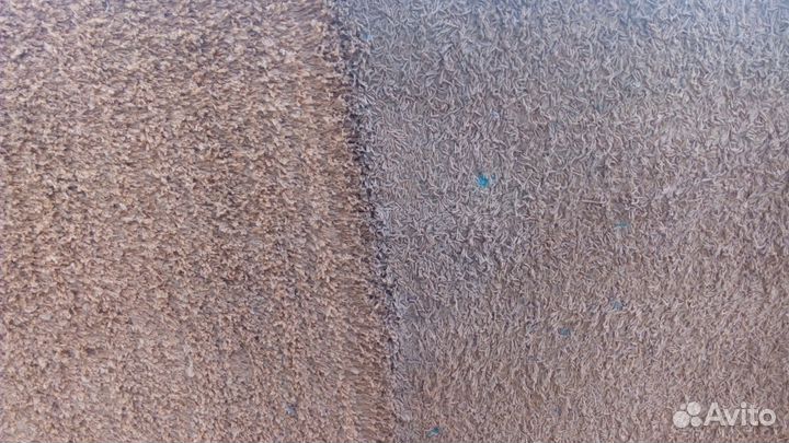 Мойка ковров