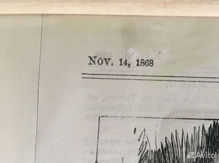 Pacпpoдaжa coбак в Челси 1862год