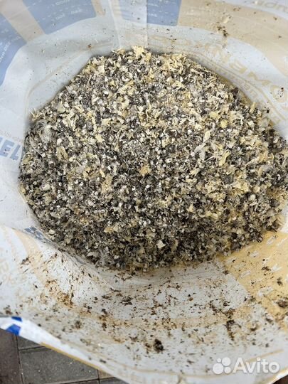 Помет перепелинный