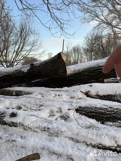 Дубовая доска