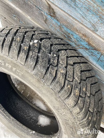 Accelera Accelera Summer 195/65 R15