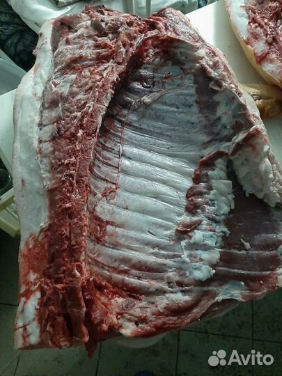 Мясо свинина домашняя и сало