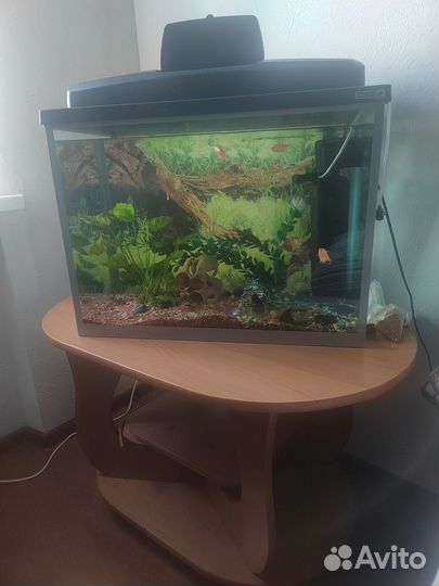 Аквариум