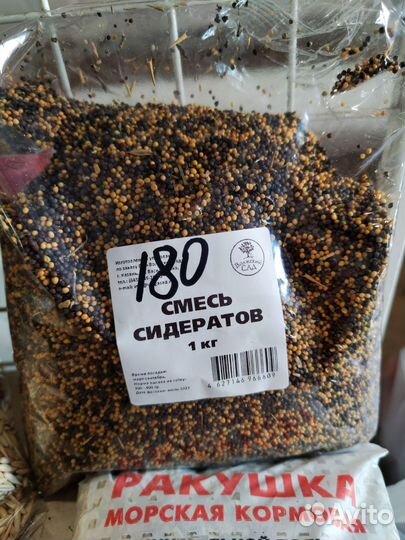 Фацелия горчица овёс гречиха вика седераты