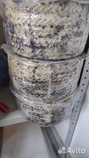 Манчего с черным трюфелем vega