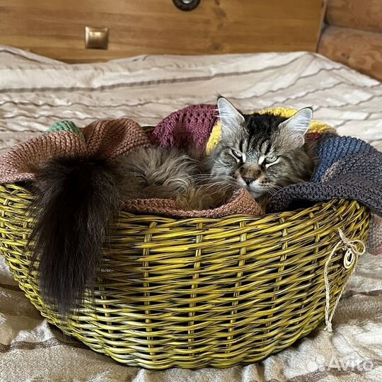 Кашпо из ротанга