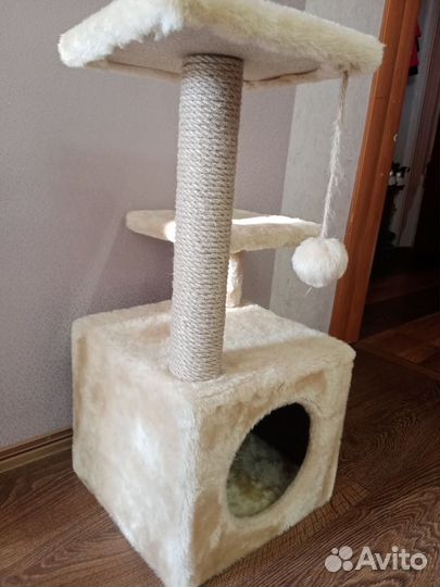 Когтеточка