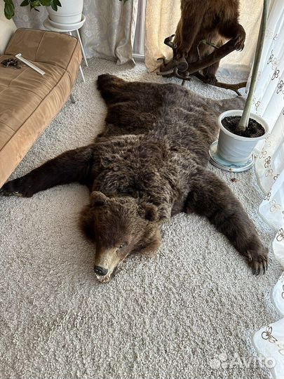 Шкура медведя имитация