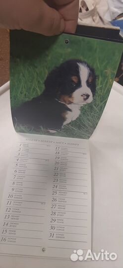 Календарь 1997