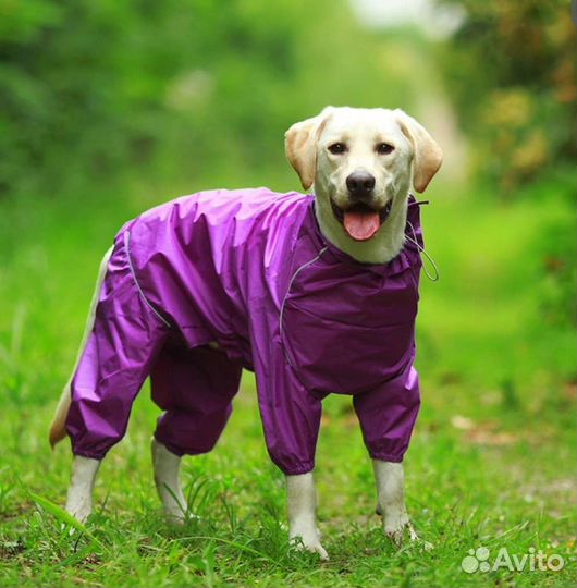 Дождевик для крупной собаки