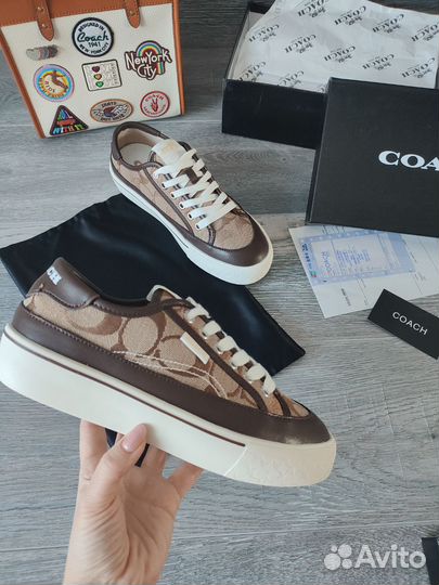 Кеды Coach